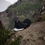 Adidas Terrex Free Hiker 2.0 Low GORE-TEX Hiking Schoenen - Thumbnail 2