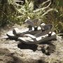 Adidas TERREX Outdoorsandalen TERREX HYDROTERRA LIGHT SANDALE - Thumbnail 23