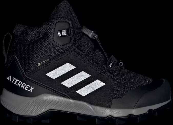 Adidas Terrex Mid GORE-TEX Hiking Schoenen