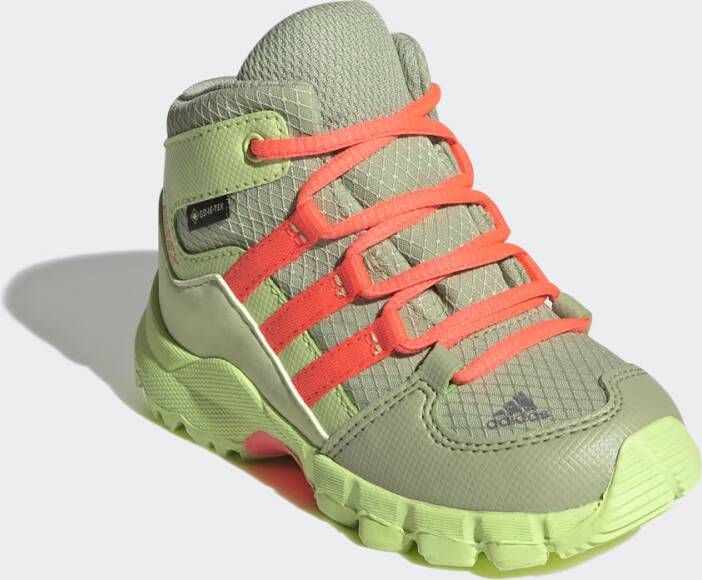 Adidas TERREX Mid GTX Schoenen