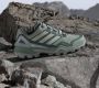 Adidas Terrex Skychaser GORE-TEX Hiking Schoenen - Thumbnail 2