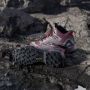 Adidas Terrex Skychaser Mid GORE-TEX Hiking Schoenen - Thumbnail 3