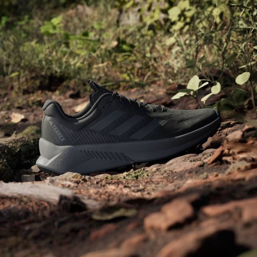 Adidas Terrex Soulstride Flow GORE-TEX Schoenen