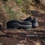 Adidas TERREX Runningschoenen TERREX SOULSTRIDE FLOW GORE-TEX TRAILRUNNING - Thumbnail 30