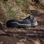 Adidas TERREX Soulstride Flow Trail Running Schoenen Unisex Groen - Thumbnail 6