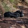 Adidas Terrex Soulstride RAIN.RDY Trail IF5015 nen Zwart Hardloopschoenen - Thumbnail 10