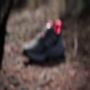 Adidas TERREX Runningschoenen SOULSTRIDE RAIN.RDY TRAILRUNNING - Thumbnail 9