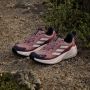 Adidas TERREX Trailmaker 2.0 GORE-TEX Hiking Schoenen Dames Roze - Thumbnail 10