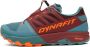 Dynafit Alpine Pro 2 Trailrunningschoenen meerkleurig - Thumbnail 1