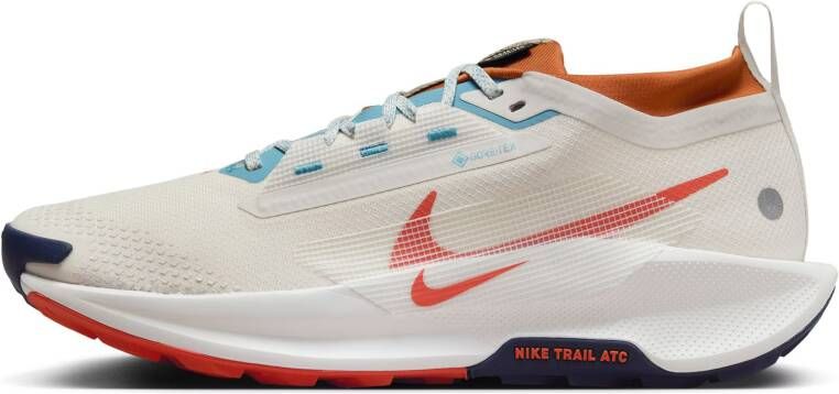 Nike Pegasus Trail 5 GTX Heren