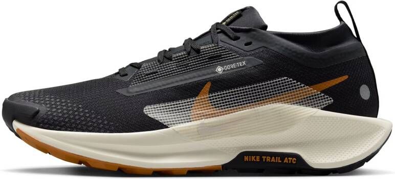 Nike Pegasus Trail 5 GORE-TEX waterdichte trailrunningschoenen voor heren Zwart