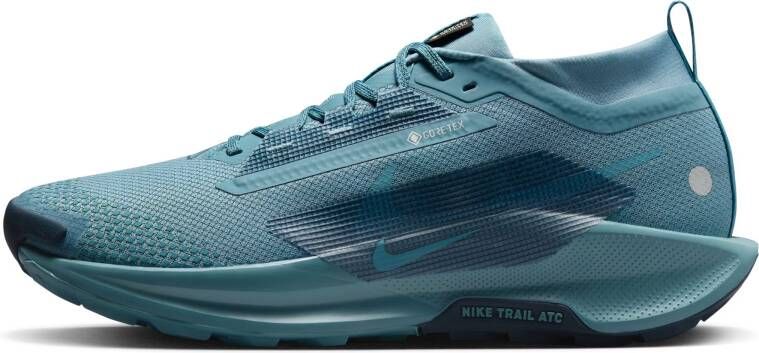 Nike ReactX Pegasus Trail 5 GTX Heren