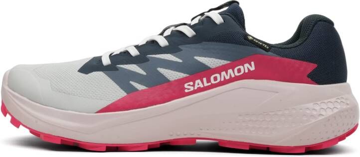 Salomon Alphaglide GTX Dames