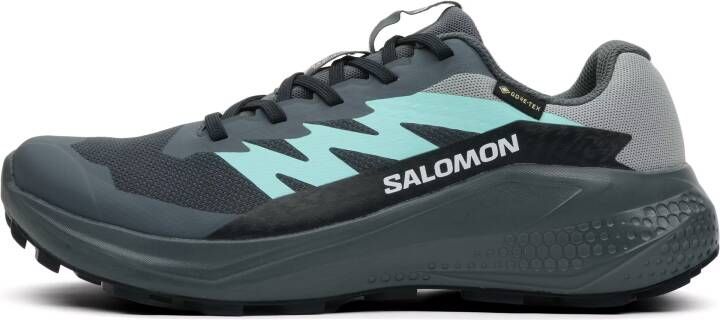 Salomon Alphaglide GTX Dames