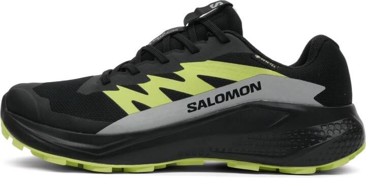 Salomon Alphaglide GTX Heren