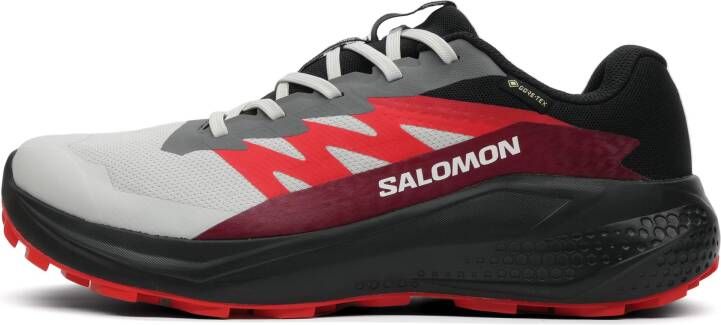 Salomon Alphaglide GTX Heren