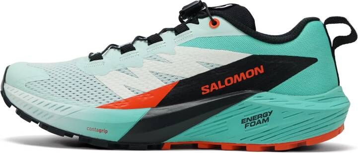 Salomon Sense Ride 5 Dames