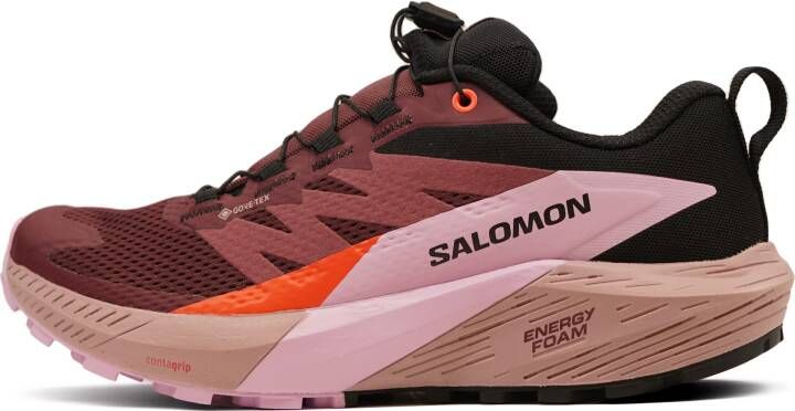 Salomon Sense Ride 5 GTX Dames