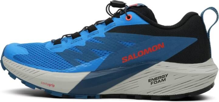 Salomon Sense Ride 5 Heren