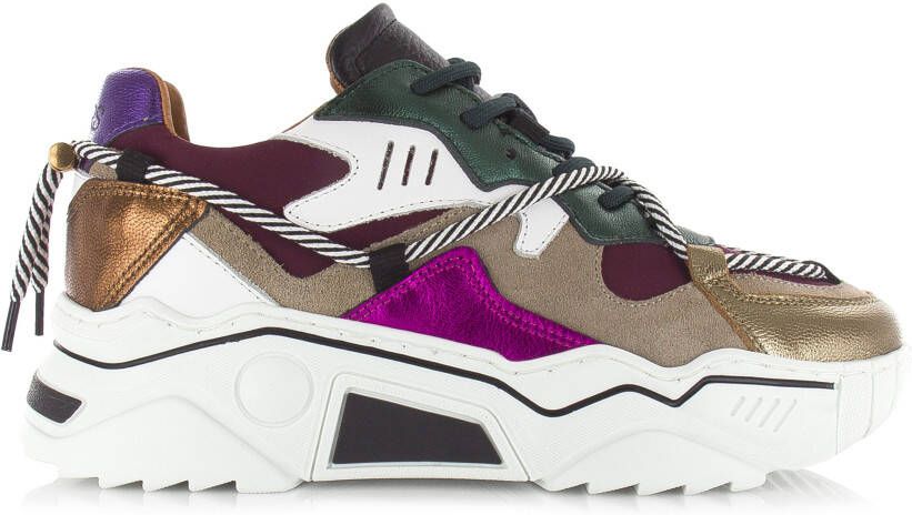 DWRS LABEL JUPITER Bordeaux Multi Bordeaux Leer Lage sneakers Dames