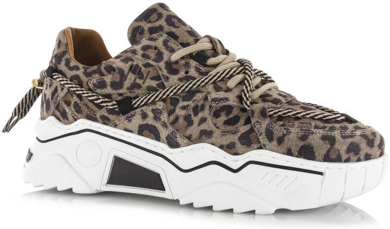 DWRS LABEL DWRS Jupiter leopard sneakers Beige Leer Lage sneakers Dames