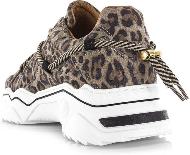 DWRS LABEL DWRS Jupiter leopard sneakers Beige Leer Lage sneakers Dames