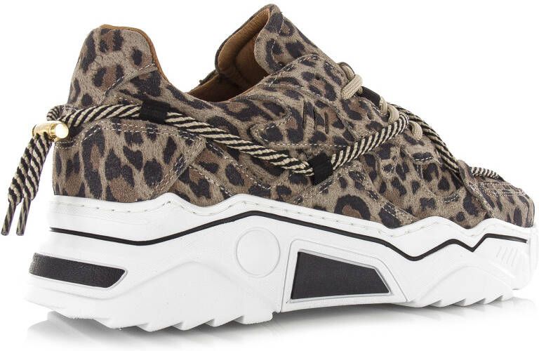 DWRS LABEL DWRS Jupiter leopard sneakers Beige Leer Lage sneakers Dames