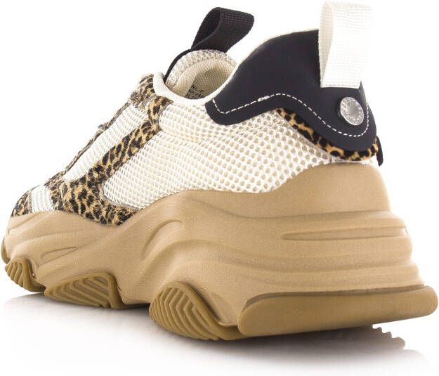 STEVE MADDEN PossessionL-E Leopard Beige Mesh Lage sneakers Dames