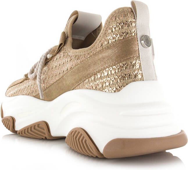 STEVE MADDEN Project bronze gold Brons Synthetisch Lage sneakers Dames