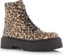 STEVE MADDEN Skylar Leopard veterboots Beige Suede Veterboots Dames - Thumbnail 2