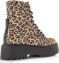 STEVE MADDEN Skylar Leopard veterboots Beige Suede Veterboots Dames - Thumbnail 4