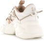 STEVE MADDEN Spectator cream rose gold Beige Synthetisch Lage sneakers Dames - Thumbnail 4