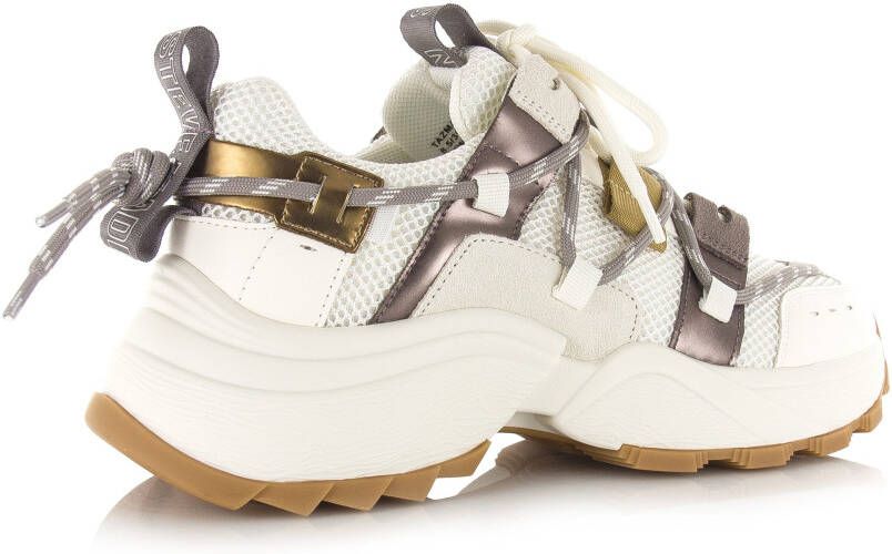 STEVE MADDEN Tazmania | pewter gold Beige Synthetisch Lage sneakers Dames