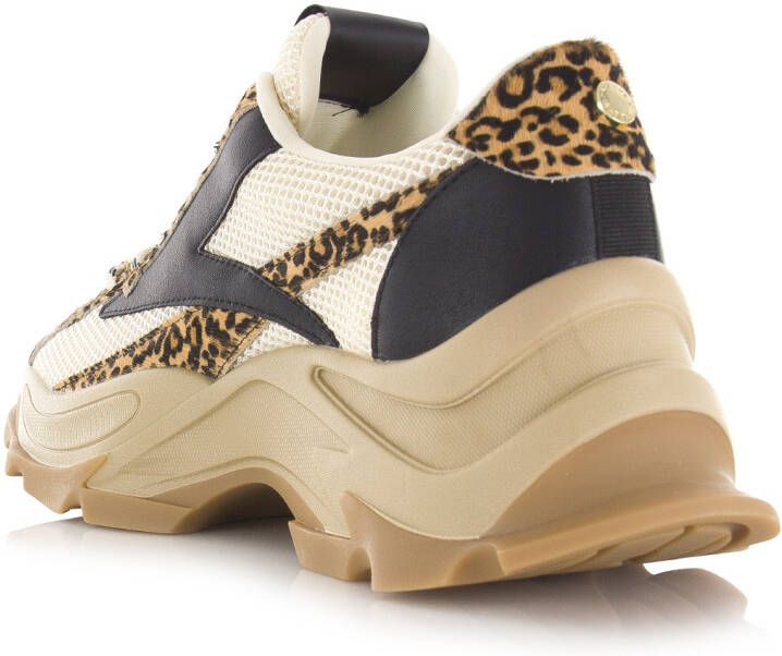 STEVE MADDEN Zoomz-L leopard multi Beige Mesh Lage sneakers Dames