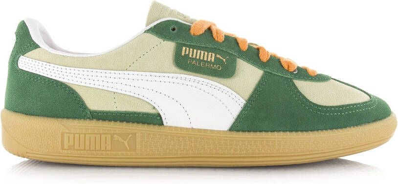 Puma Palermo Green-Vine Groen Suede Lage sneakers Unisex