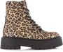 STEVE MADDEN Skylar Leopard veterboots Beige Suede Veterboots Dames - Thumbnail 1