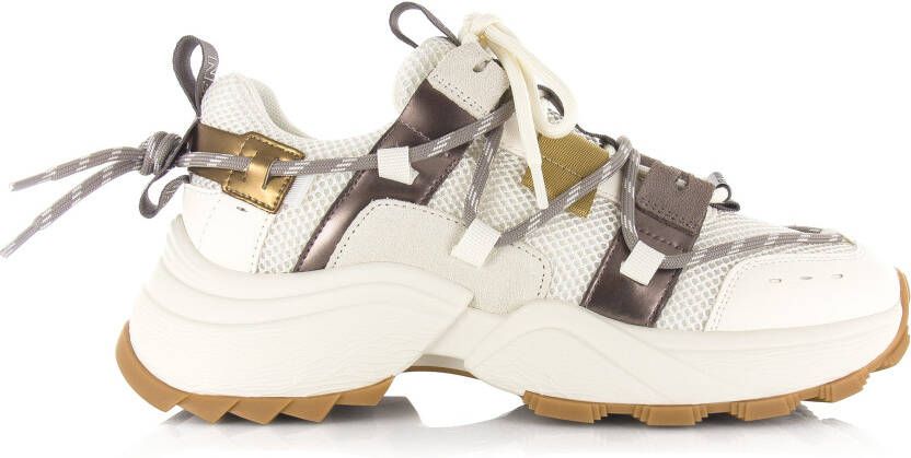 STEVE MADDEN Tazmania | pewter gold Beige Synthetisch Lage sneakers Dames