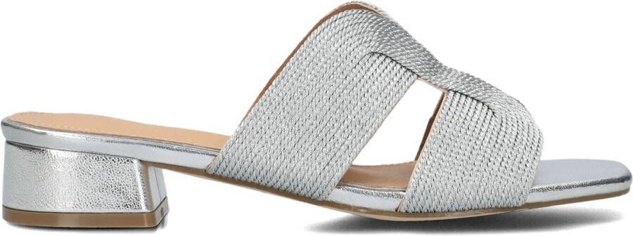 AYANA Slippers Dames 0325-8 Maat: 41 Materiaal: Textiel Kleur: Zilver