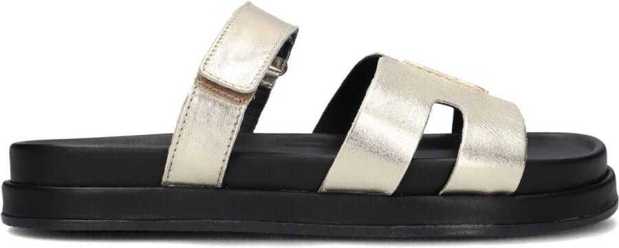 BLASZ Slippers Dames Lpmag-43 Maat: 39 Materiaal: Leer Kleur: Goud