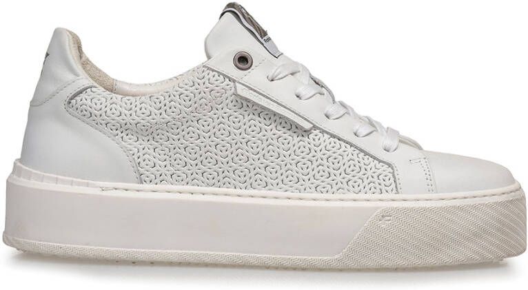 Floris van Bommel Sneakers vrouw