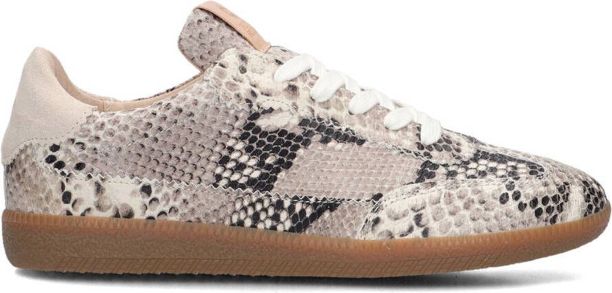 FRED DE LA BRETONIERE Lage Sneakers Dames Pearl Sign Maat: 38 Materiaal: Leer Kleur: Beige