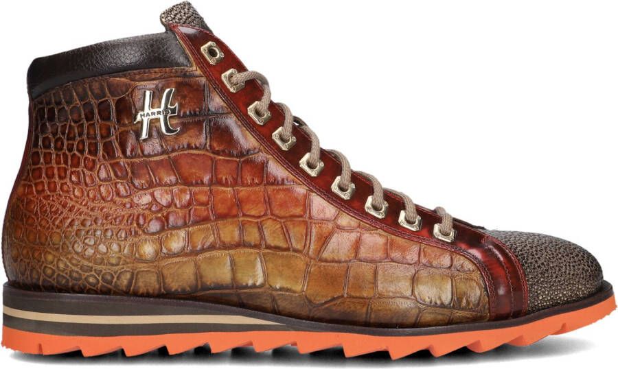 HARRIS Hoge Sneakers Heren 0721 Maat: 41 5 Materiaal: Leer Kleur: Bruin