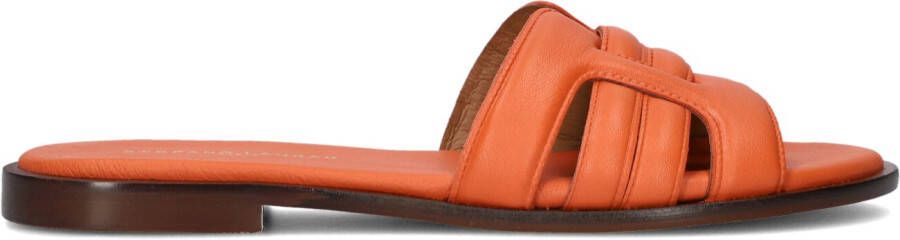 STEFANO LAURAN Slippers Dames Led 1 Band Slipper Maat: 38 Materiaal: Leer Kleur: Oranje