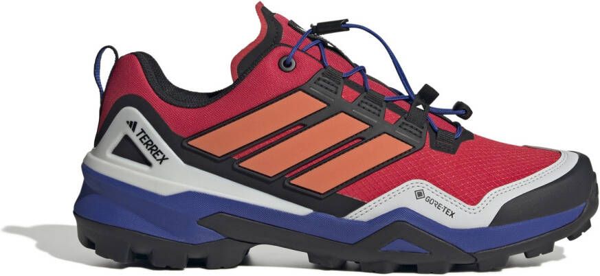 Adidas Terrex Skychaser GTX Multisportschoenen meerkleurig