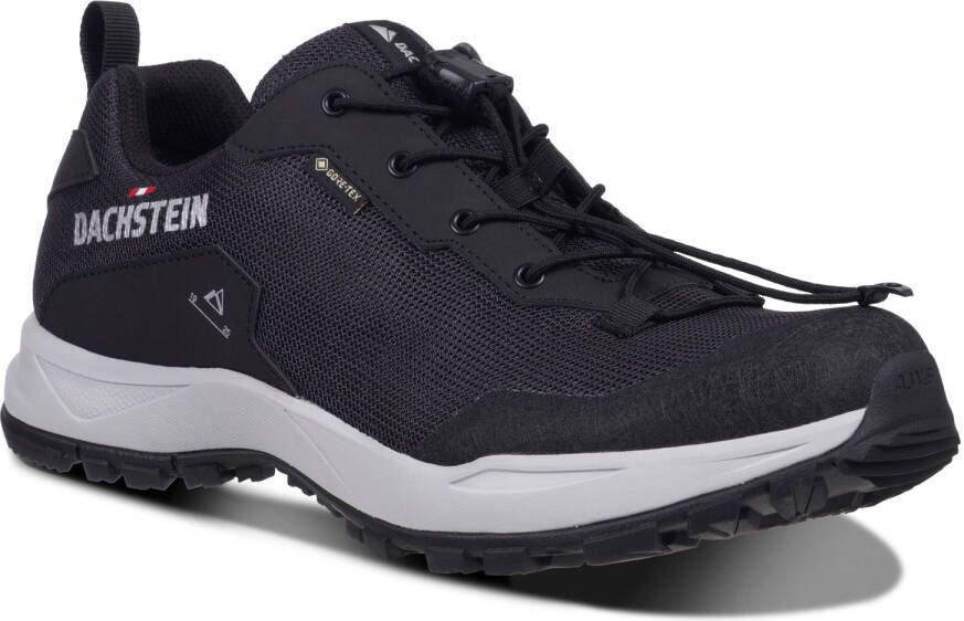 Dachstein Delta Ascent GTX Multisportschoenen zwart