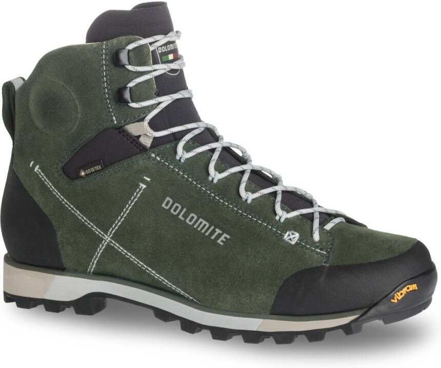 Dolomite 54 Hike Evo GTX Wandelschoenen grijs