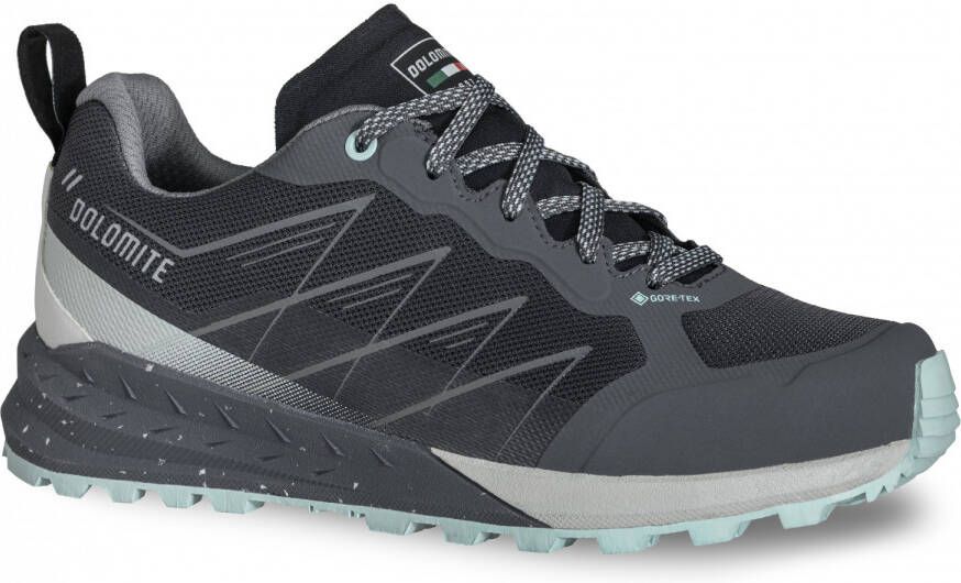 Dolomite 's Croda Nera Tech GTX Wandelschoenen grijs