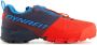 Dynafit Trailrunning schoen Men Transalper Gore-Tex Dawn Blueberry - Thumbnail 2