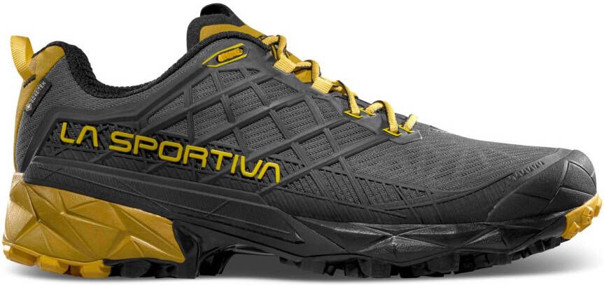 la sportiva Akyra II GTX Multisportschoenen grijs