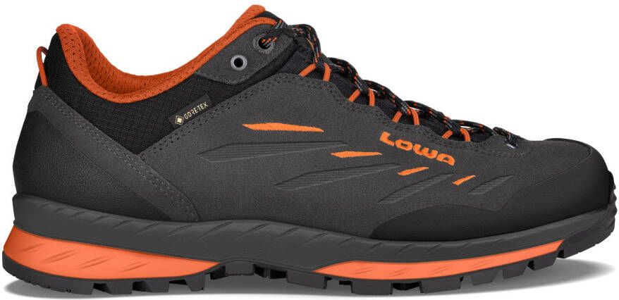 Lowa Delago GTX Lo Wandelschoenen zwart